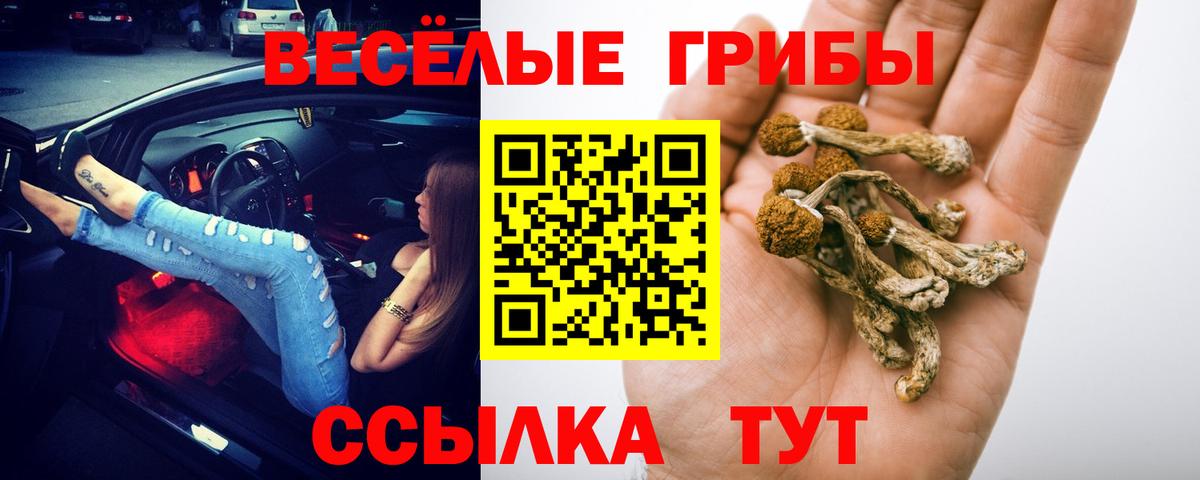 Галлюциногенные грибы Psilocybe  Галлюциногенные грибы Cubensis  Вход с VPN  Златоуст 